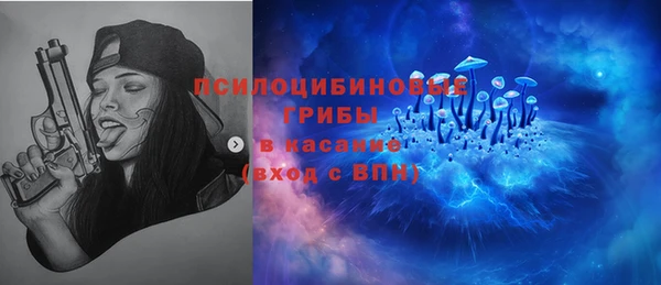 гидра Арсеньев