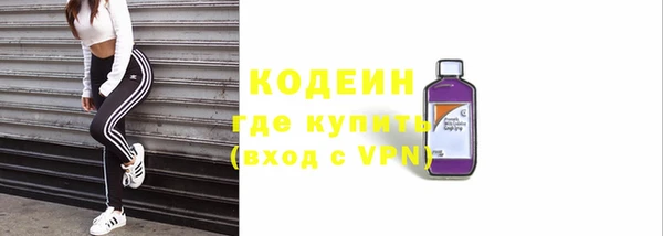 гидра Арсеньев