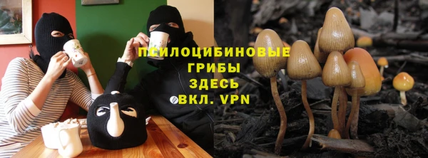 гидра Арсеньев