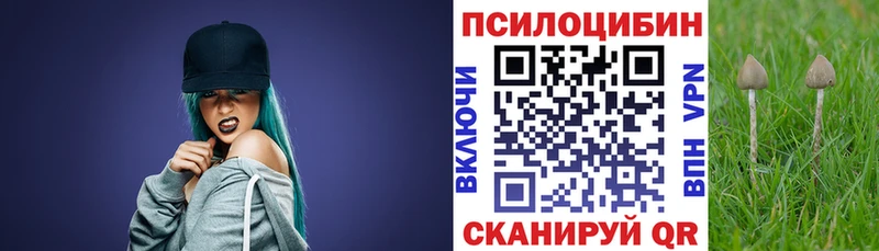 Галлюциногенные грибы GOLDEN TEACHER  Правдинск 